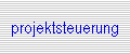 projektsteuerung